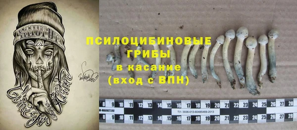 героин Алексин